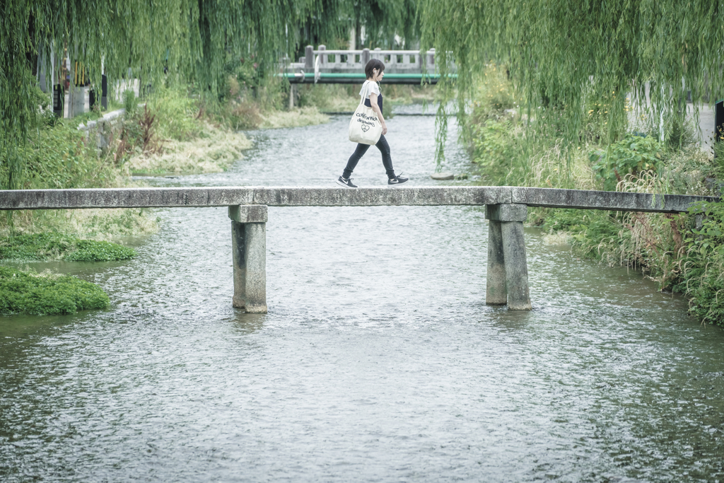 一本橋渡る