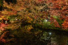 夜の金戒光明寺