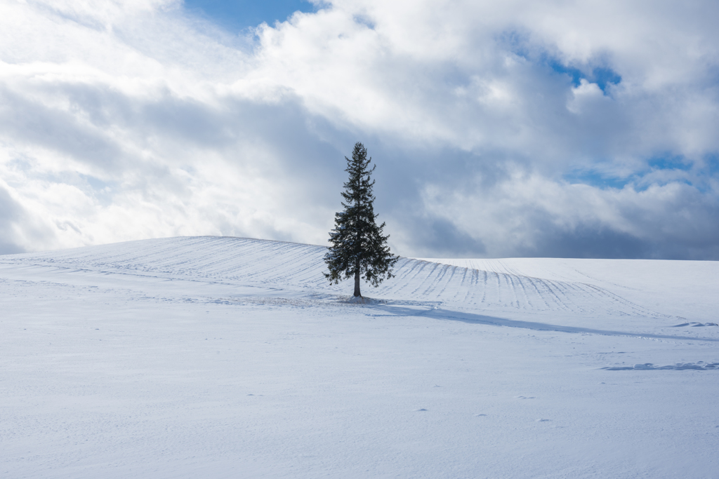 クリスマスまでもう少し