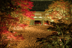夜の神護寺1