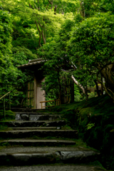 瑠璃光院1