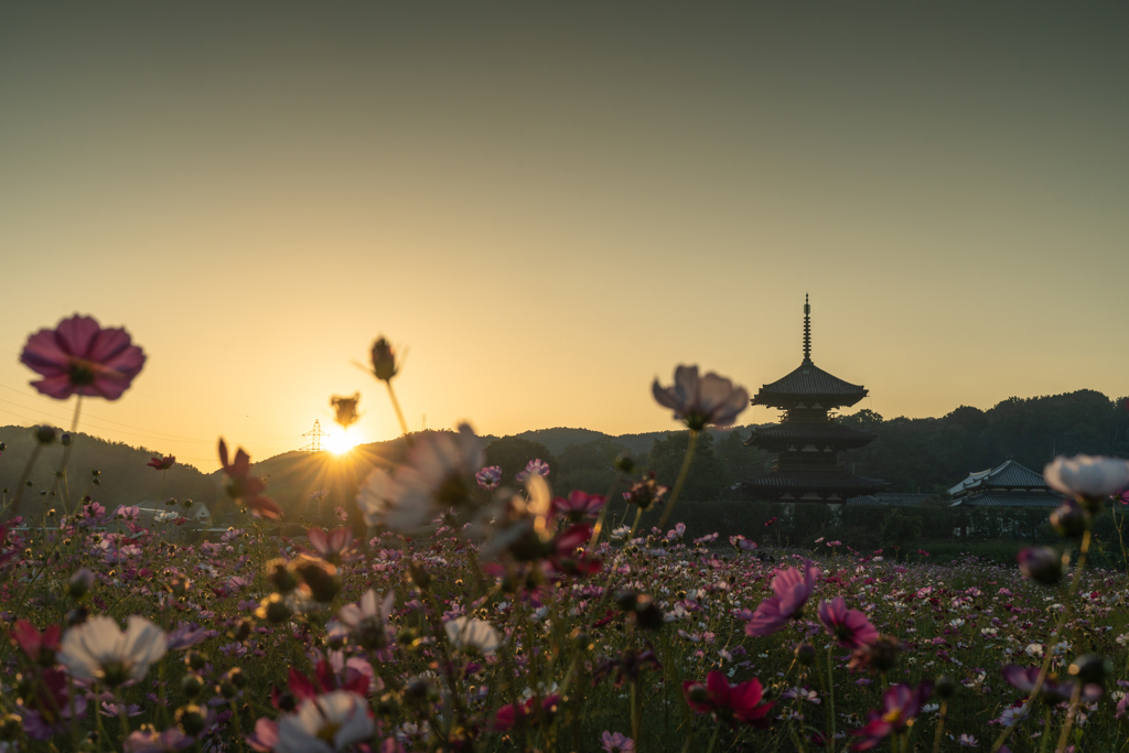 法起寺