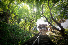 さざえ堂