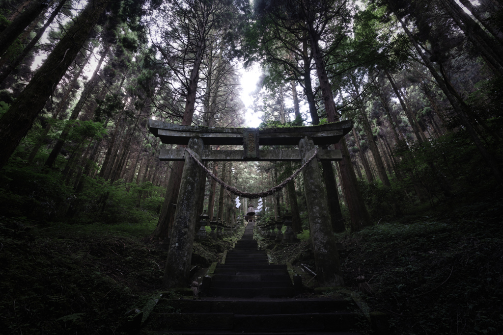 夏色九州5