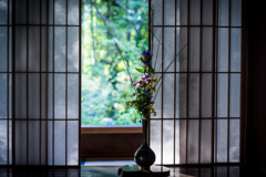 宝泉院初秋1