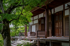 緑の常寂光寺3