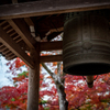 常寂光寺4