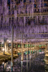 天王川公園2