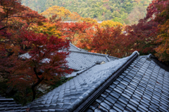 秋の瑠璃光院6