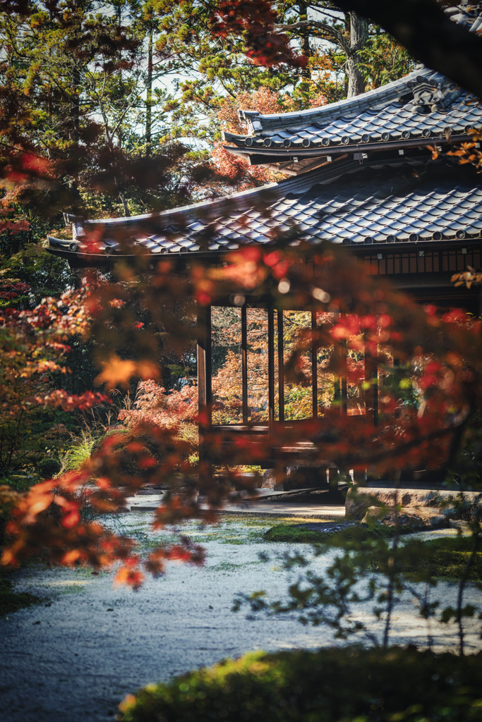 天授庵2