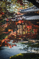 天授庵2
