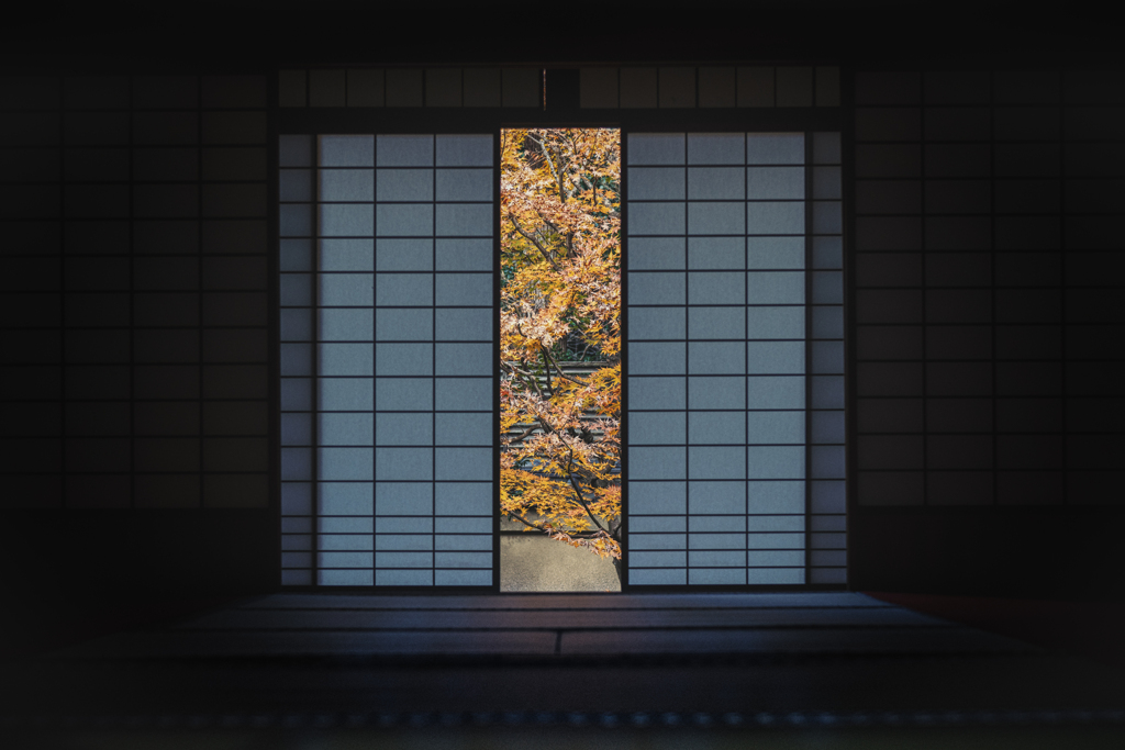 もみじの掛け軸