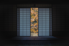 もみじの掛け軸