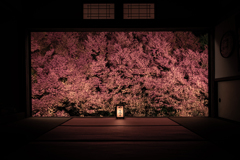 そして誰もいなくなった