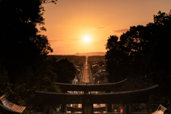 2019光の道