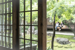雨の建仁寺2