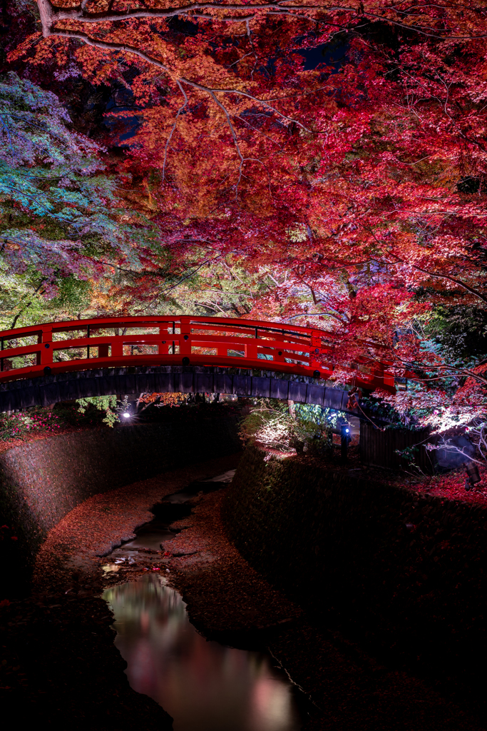 夜の北野天満宮御土居1