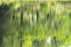 油彩画のような