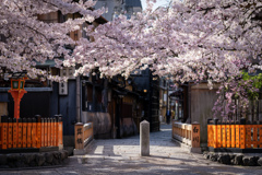 桜の季節がやってきた10