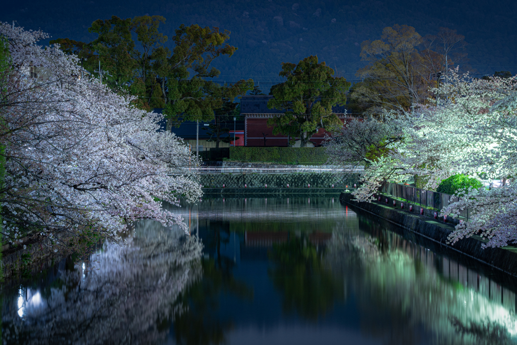 岡崎疎水