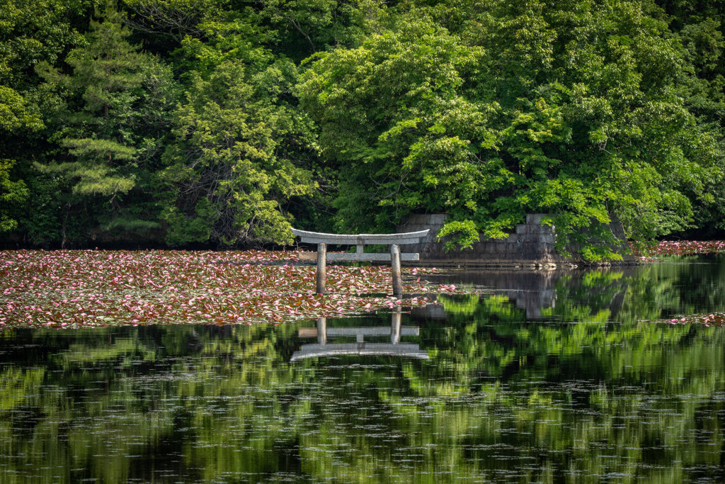 名坂大地寺