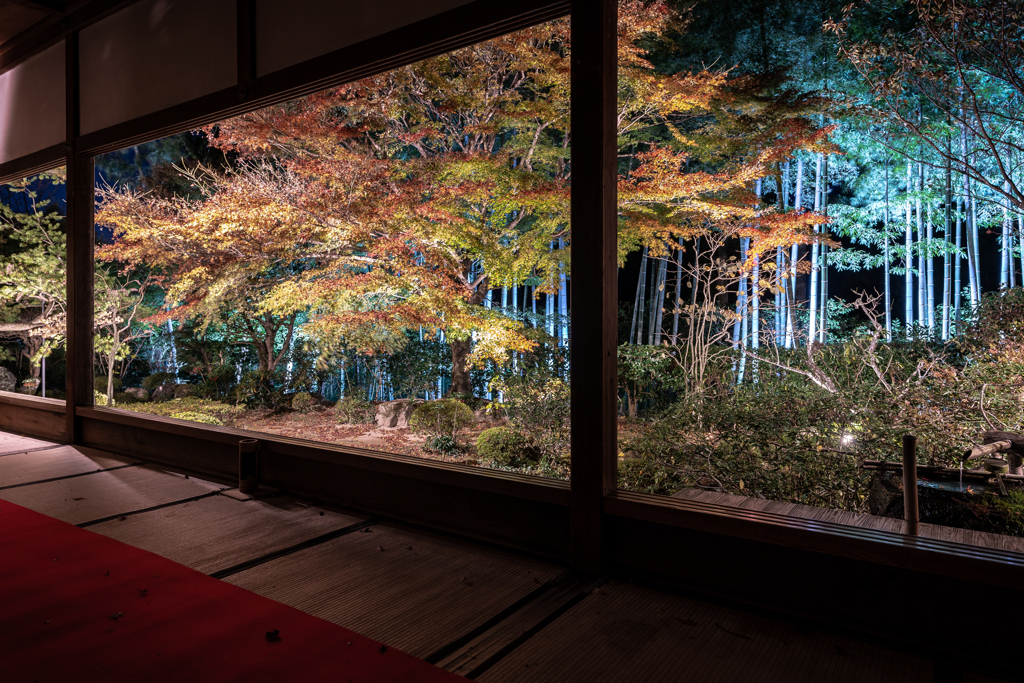 夜の宝泉院3