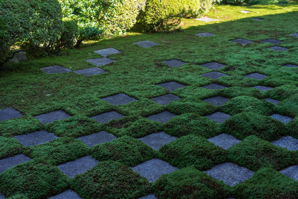 東福寺本坊庭園4
