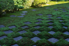 東福寺本坊庭園4