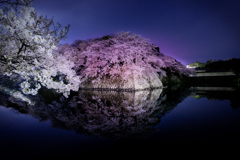 夜の彦根城