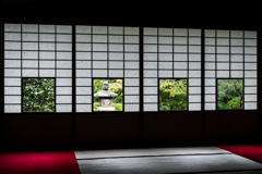 初夏の雲龍院3