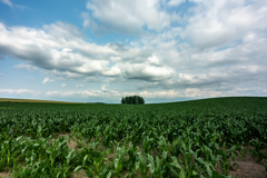 青い空と白い雲