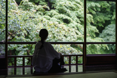 雨の瑠璃光院3