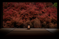 但馬安国寺1
