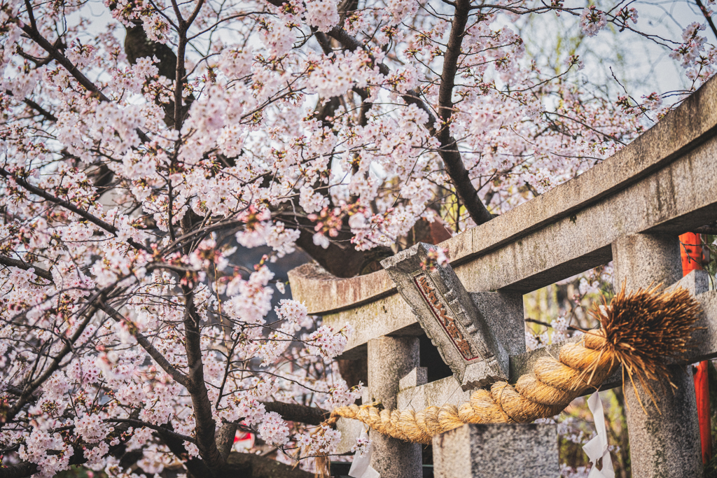 祇園白川3