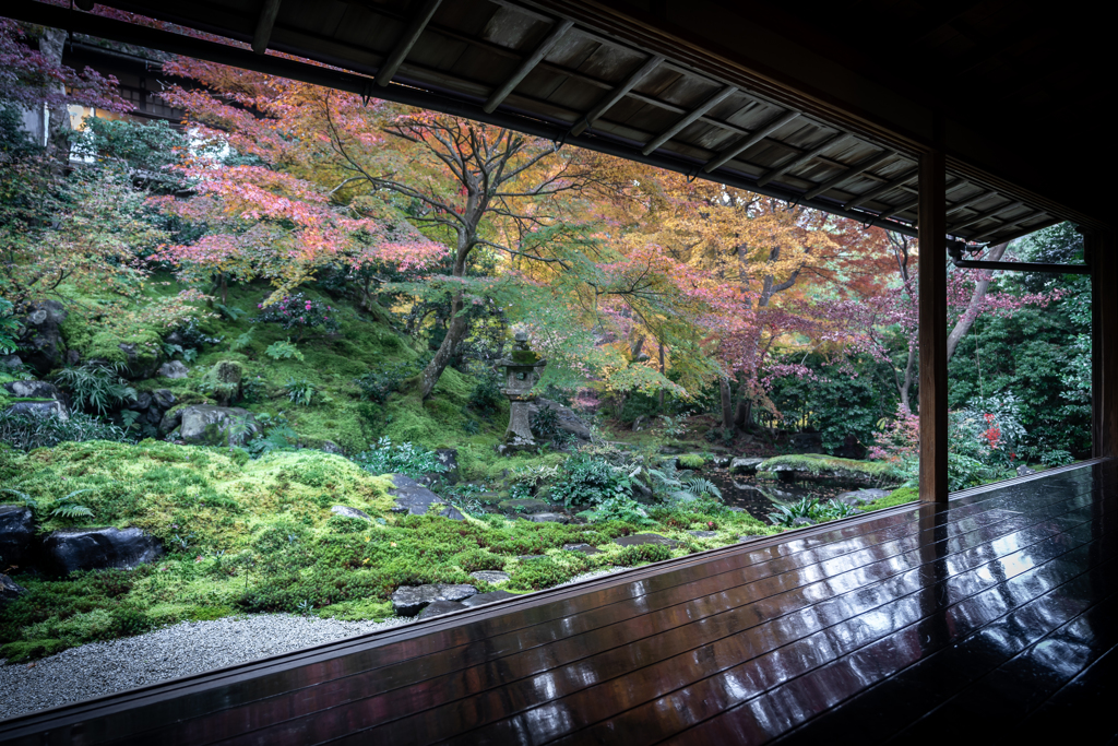 晩秋の瑠璃光院3