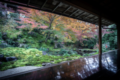 晩秋の瑠璃光院3