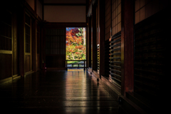 秋の円覚寺1 