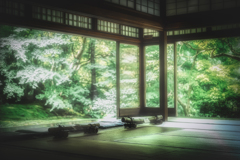 瑠璃光院2