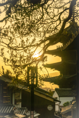 八坂の夕日
