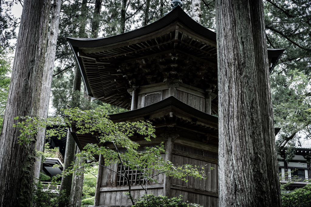 永平寺5