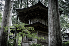永平寺5