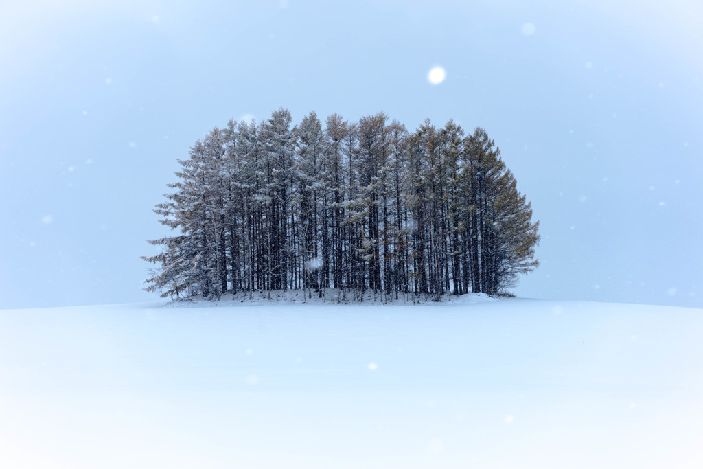 まだまだここから