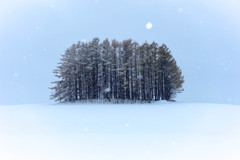 まだまだここから