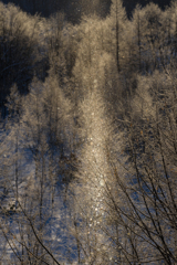 ダイヤモンドダスト1