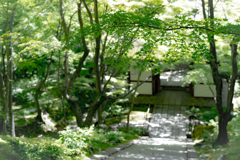 緑の常寂光寺