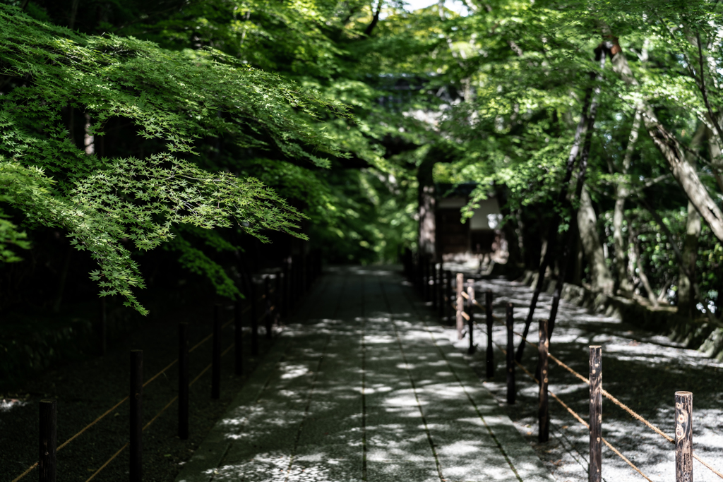 緑の光明寺