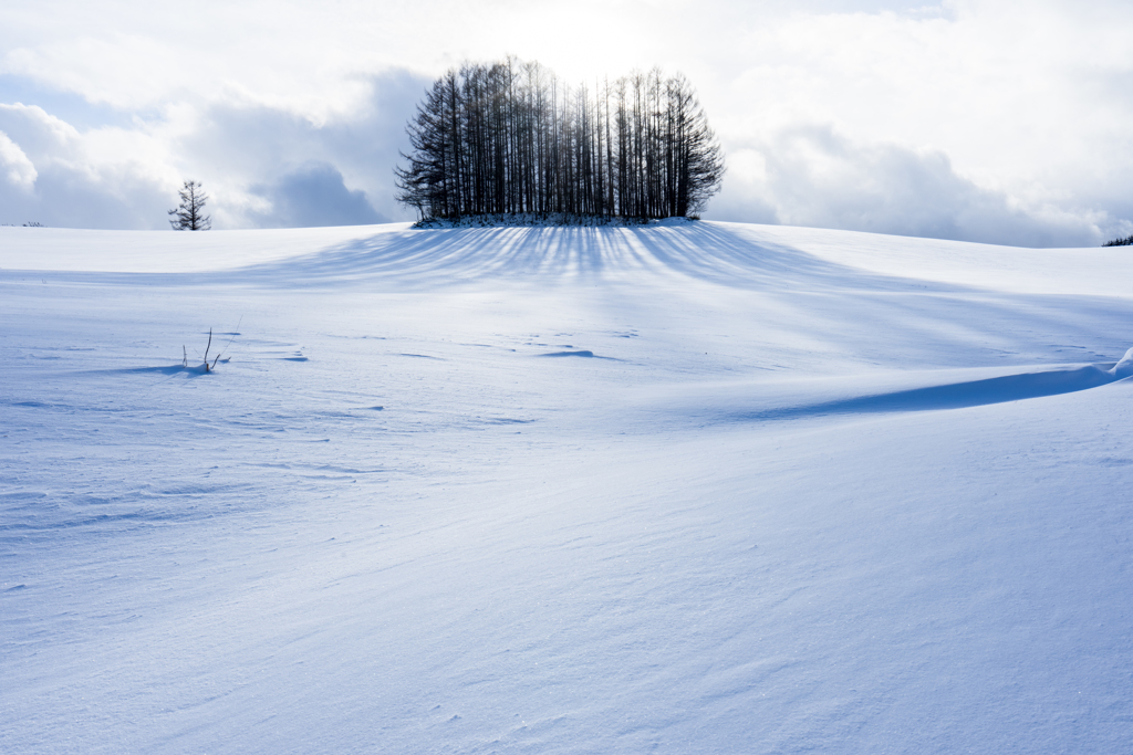 雪の上の影