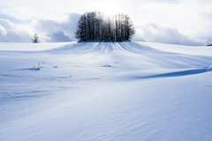 雪の上の影