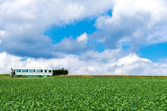 朽ちたバスと白い雲