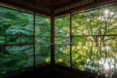 西日差す時間に1